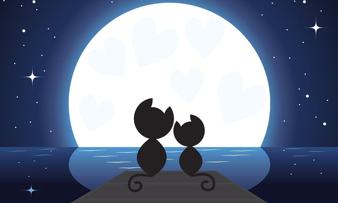 乐东潮客汇微信活动策划案例