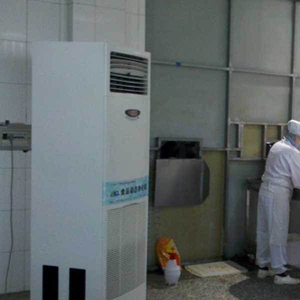 乐东食品正负离子空气杀菌器